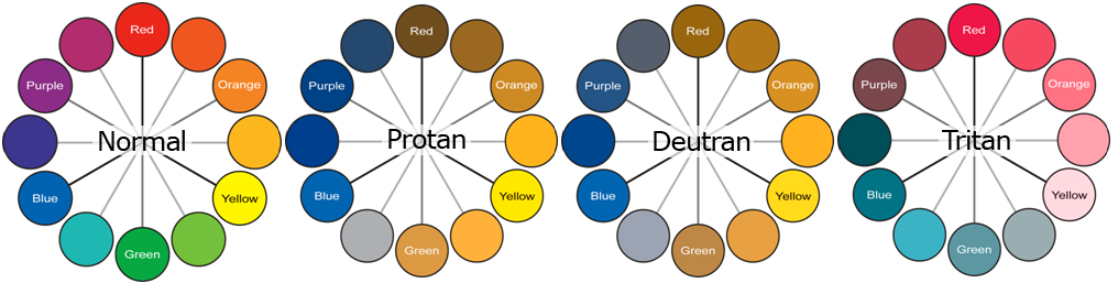 Color Vision Deficiency Chart (CVD)