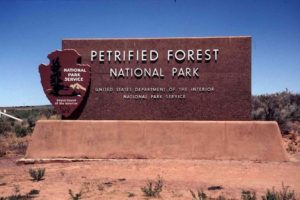 Petrified Forest NP sign