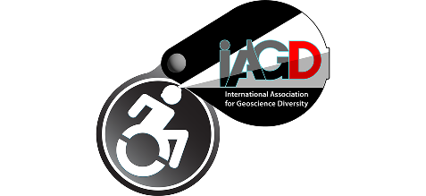 Address access needs for Field Accessibility